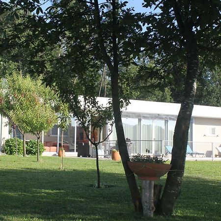 Villa Manuel Tiago Pereira à Braga Extérieur photo